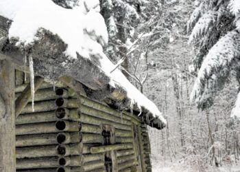 Discover Green: The Most Stunning Eco-Friendly Travel Destinations